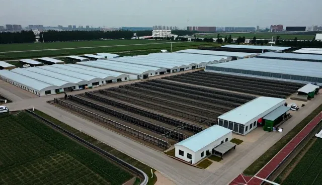 提升设备使用效率:售后支持在业务发展趋势中的关键作用